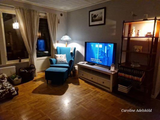 Mysig, skön läshörna. Soffgruppen är till vänster med plats för 5 - 6 personer. Bakom fåtöljen ser ni dörren till glasverandan.