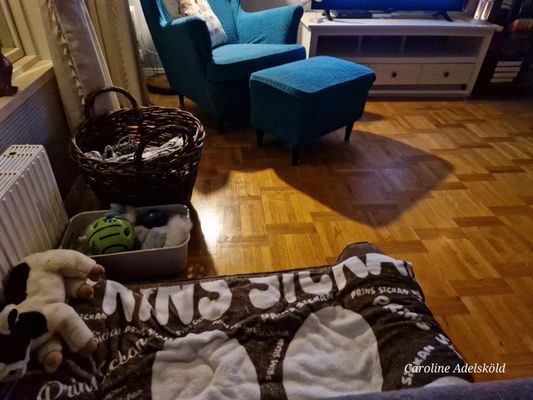 Sickans favoritplats, där han har full koll på llt som händer ♡