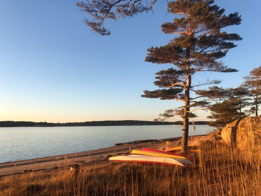 Fräscht och modernt fritidshus nära bad och natur - Bild 27