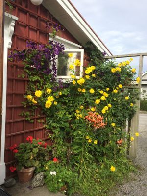 Små röda stugor centralt i Strömstad - Bild 19