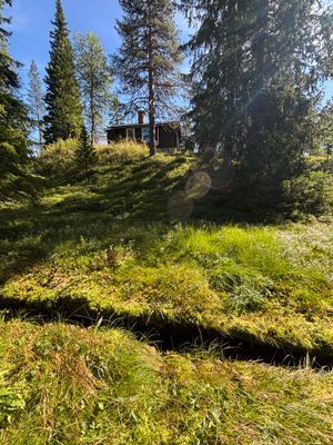 Mysig nyrenoverad timmerstuga i Sälen - Bild 23