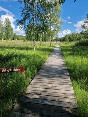 Liten mysig stuga i Västanhed - Bild 8