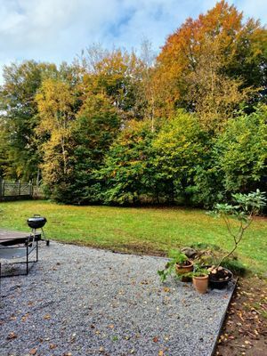 Skogsnära stuga i Ludvigsborg - Bild 7