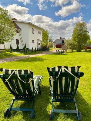 vacker trädgård