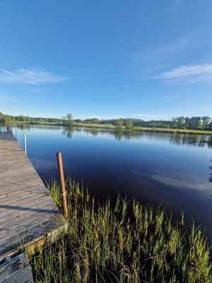 Liten mysig stuga i Västanhed - Bild 16