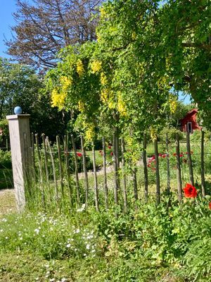 Hyr denna stuga i  på 48 m². 4-6 sängplatser. Pris ej tillgängligt. Se bilder och tillgänglighet här.