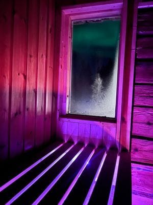 Njut av svenska Lappland med privat bastu - Bild 28