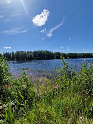 Liten mysig stuga i Västanhed - Bild 14