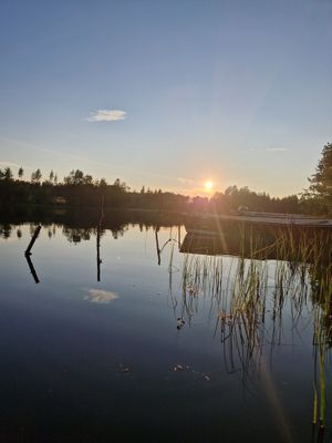 Liten mysig stuga i Västanhed - Bild 10
