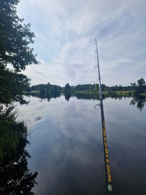 Liten mysig stuga i Västanhed - Bild 20