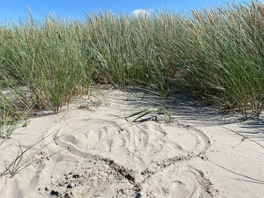 Stuga/attefallare för många med 2 badrum! - Bild 28