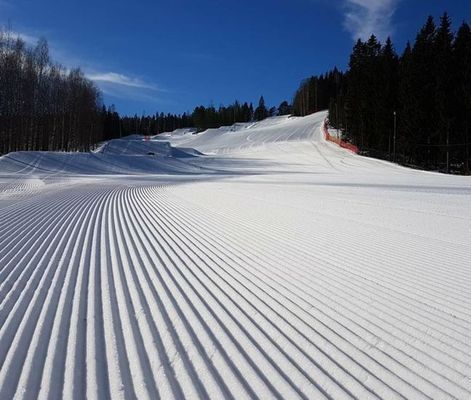 Ski in out stuga - Bild 29