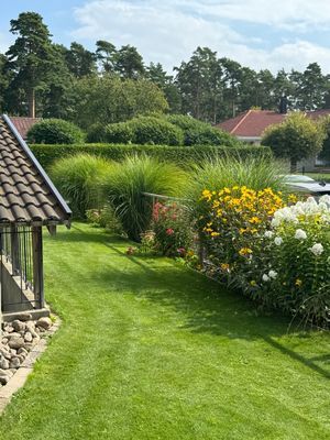 Trädgård