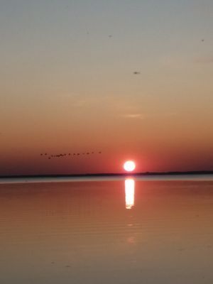 Liten stuga i Eriksöre, Öland - Bild 8