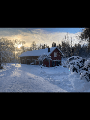 Norrgård en lyxig lägenhet på landet - Bild 29