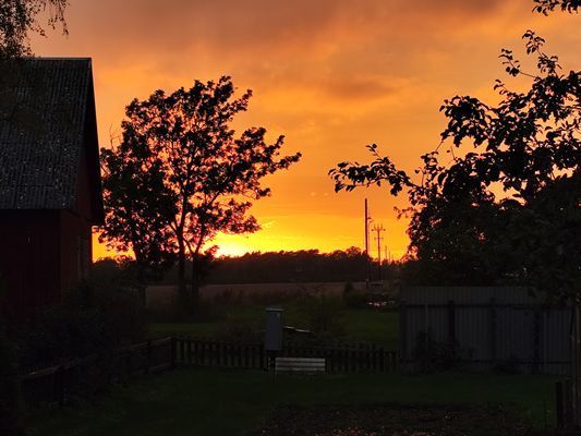 Klassiskt kalkstenshus i Dalhem - Bild 11