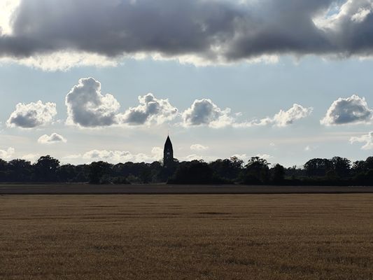 Klassiskt kalkstenshus i Dalhem - Bild 8