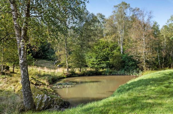 Stuga "Vena Berg" - Bild 28