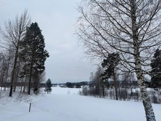 Bild 3 på Hyr vår fina familjestuga!