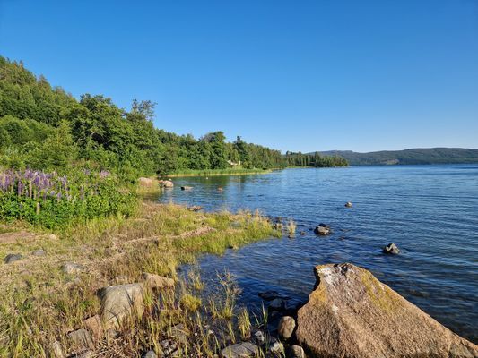 Trevlig timrad stuga vid havet i Höga kusten - Bild 25