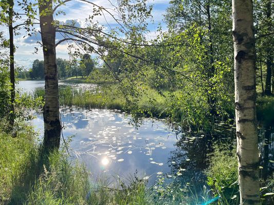 Naturnära stuga på höjd med sjöutsikt - Bild 30