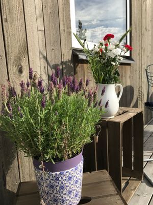 Arkitektritat skärgårdshus med båtplats - Bild 19