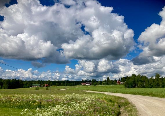Semesterhus i Bergsjö - Bild 7