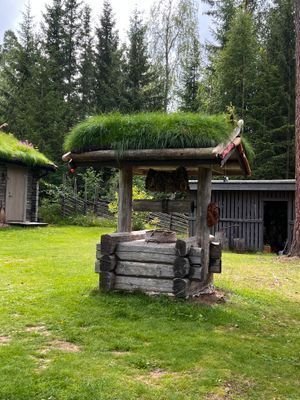 Egen strand, brygga och 8 bäddar - Bild 13