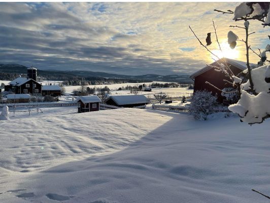 Stuga Järvsö - Bild 7