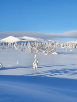 Mysig fjällstuga i Grövelsjön med murad eldstad - Bild 15