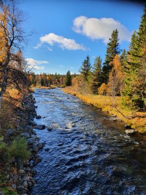 Mysig fjällstuga i Grövelsjön med murad eldstad - Bild 19