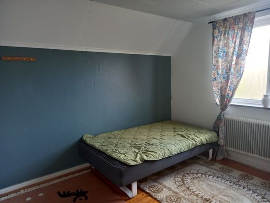 Hundvänligt hus nära sjön, inhägnat Värmland - Bild 25