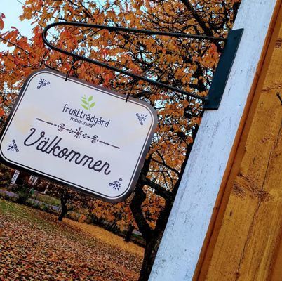 Mörlunda fruktträdgård - Bild 26