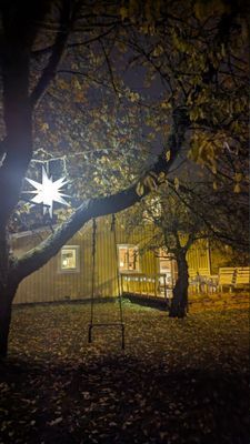 Mörlunda fruktträdgård - Bild 44