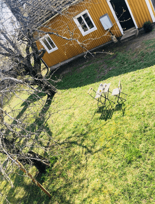 Mörlunda fruktträdgård - Bild 30