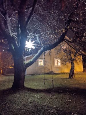 Mörlunda fruktträdgård - Bild 37