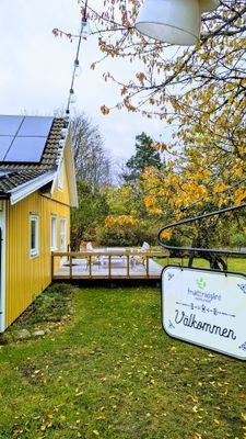 Mörlunda fruktträdgård - Bild 34