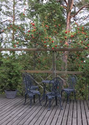 Vår cafeteria