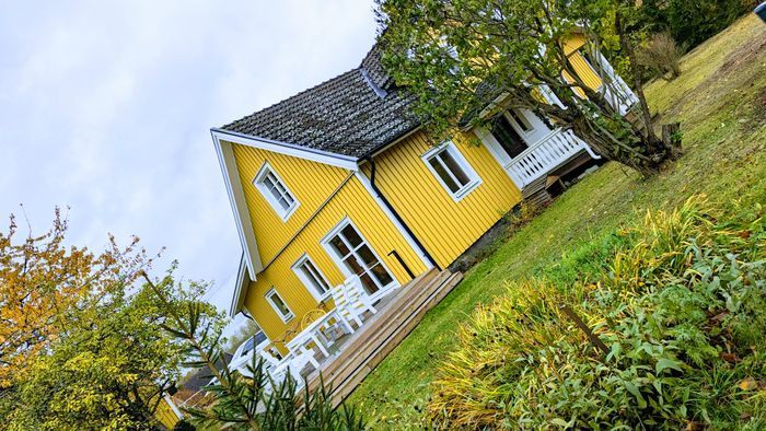 Mörlunda fruktträdgård - Bild 40