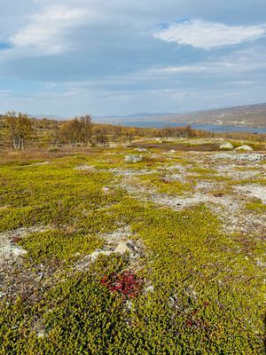 Stuga nära Hamra, underbart läge och härlig utsikt - Bild 14