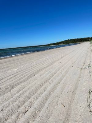Smultronstället i Sandviken - Bild 9