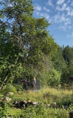 Lantlig torpidyll med saltvattenpool - Bild 24