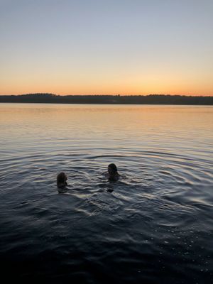 Lantlig torpidyll med saltvattenpool - Bild 62