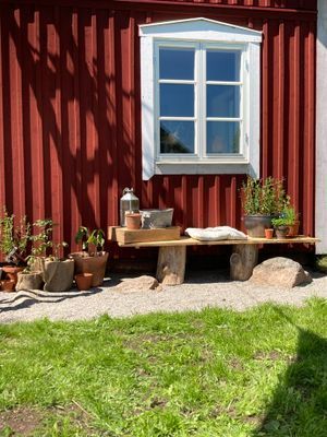 Innerträdgården bakom planket.