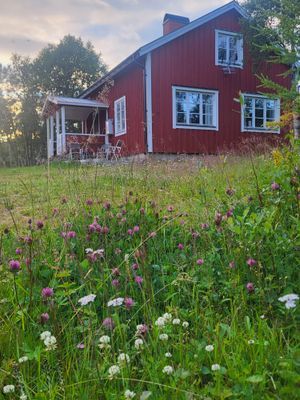 FJÄLLSTUGA   Fjällnäsvägen146  Malmagen  Fjällnäs - Bild 18