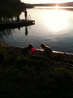 Lantlig torpidyll med saltvattenpool - Bild 65