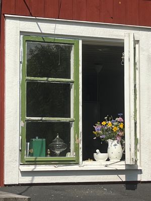 Lantlig torpidyll med saltvattenpool - Bild 6