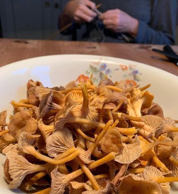 Lantlig torpidyll med saltvattenpool - Bild 67