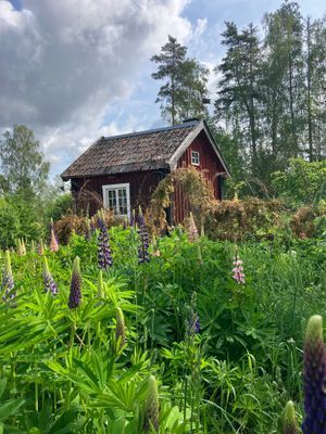 Rustik Stuga utan el – Enkla Livets Charm - Bild 7
