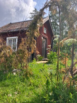 Rustik Stuga utan el – Enkla Livets Charm - Bild 8